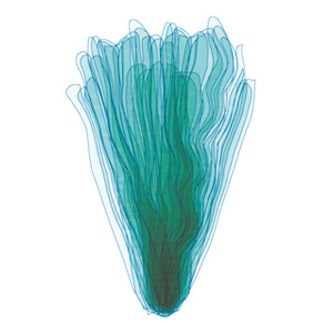 Un vase pour DAUM