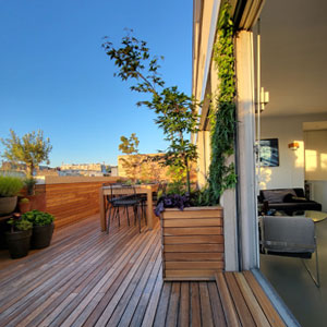 Terrasse parisienne